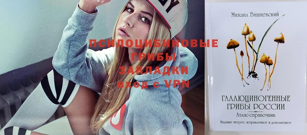 хмурый Верхний Тагил