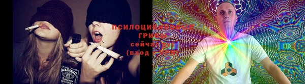 хмурый Верхний Тагил