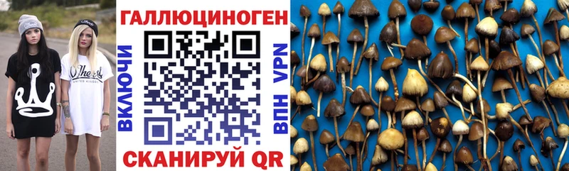 Галлюциногенные грибы GOLDEN TEACHER  Каргополь 